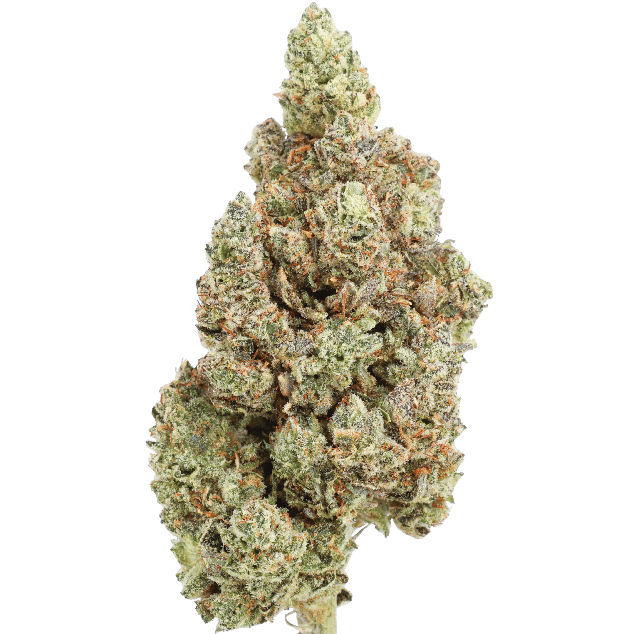 Sour Diesel flower close-up